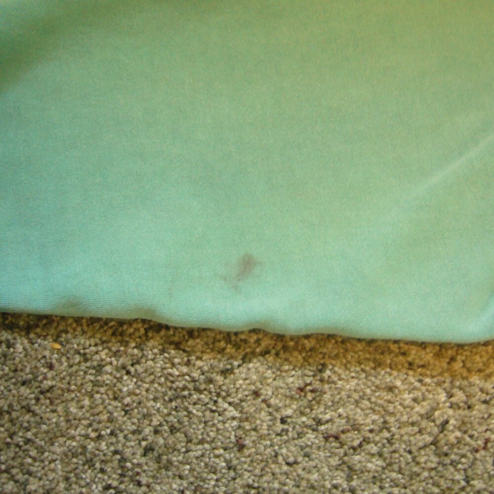 Men's XL Comfort Colors Hoodie - Picture 6 of 7